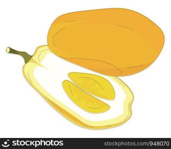 Citron which is sliced into two halves with its seed in the middle , vector, color drawing or illustration.
