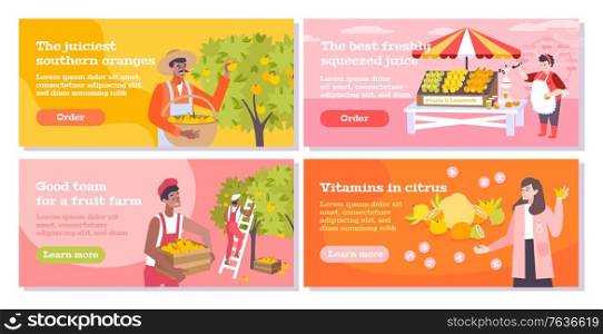 Citrus flat banners set with people collecting oranges on southern farm sellers and buyers of fruits and juice vector illustration