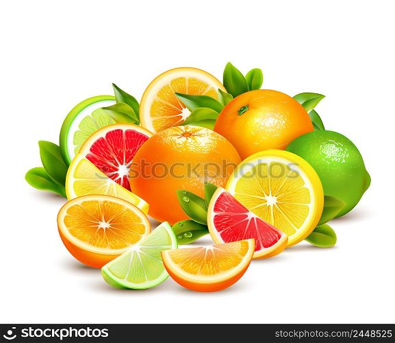 Citrus fruit whole halves and quarters colorful composition with lime lemon grapefruit and oranges realistic vector illustration . Citrus Fruits Collection Realistic Composition