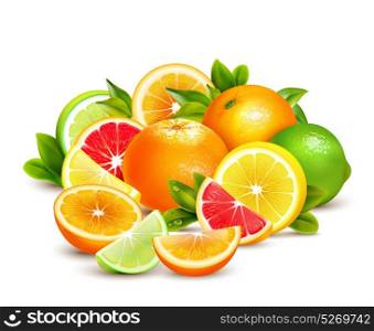 Citrus Fruits Collection Realistic Composition . Citrus fruit whole halves and quarters colorful composition with lime lemon grapefruit and oranges realistic vector illustration