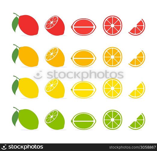 Citrus slices. Vector isolated icon. Tropical fruit isolated. Grapefruit orange lemon lime vector design. Citrus collection isolated on white background. EPS 10