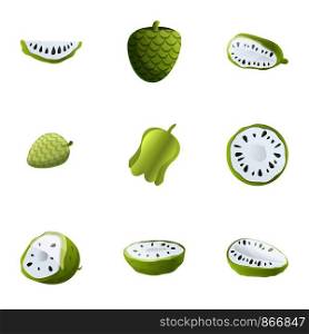 Citrus soursop icon set. Cartoon set of 9 citrus soursop vector icons for web design isolated on white background. Citrus soursop icon set, cartoon style