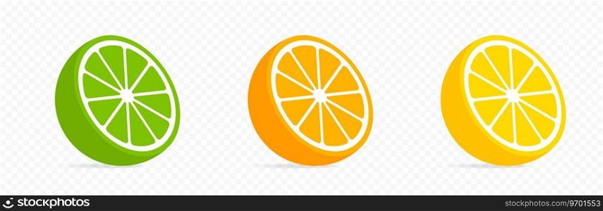 Citrus vector icons. Citrus collection. Orange, lemon, lime illustration. Tropical fruits. Vector