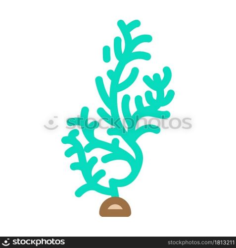 cladophora glomerata seaweed color icon vector. cladophora glomerata seaweed sign. isolated symbol illustration. cladophora glomerata seaweed color icon vector illustration