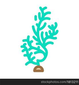 cladophora glomerata seaweed color icon vector. cladophora glomerata seaweed sign. isolated symbol illustration. cladophora glomerata seaweed color icon vector illustration