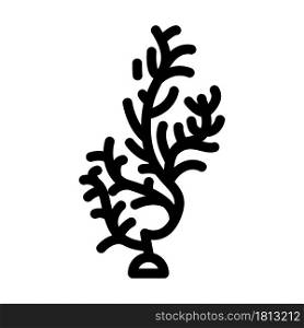 cladophora glomerata seaweed line icon vector. cladophora glomerata seaweed sign. isolated contour symbol black illustration. cladophora glomerata seaweed line icon vector illustration