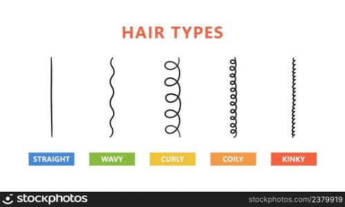 Classification of hair types - straight, wavy, curly, coily, kinky. Scheme of different types of hair. Curly girl method. Vector illustration on white background.. Classification of hair types - straight, wavy, curly, coily, kinky. Scheme of different types of hair. Curly girl method. Vector illustration on white background
