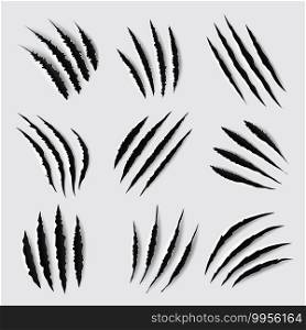 Claw scratches and marks vector design of animal paws torn traces, slashes and scars. Tiger, lion, cat, bear, horror dinosaur monster and scary werewolf beast attack damages. Claw scratches and marks of vector animal paws