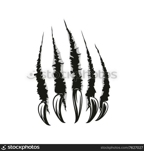 Claws scratches, torn paper trails. Vector wild animal sharp claw slash marks. Animal claws scratches trace, torn slashes texture