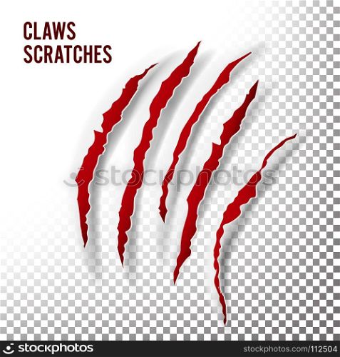 Claws Scratches Vector. Claw Scratch Mark. Bear Or Tiger Paw Claw Scratch Bloody. Shredded Paper. Claws Scratches Vector. Claw Scratch Mark. Bear, Tiger Paw Claw Scratch Bloody. Shredded Paper