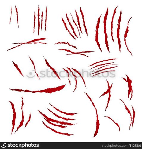 Claws Scratches Vector. Isolated On White Background. Bear Or Tiger Paw Claw Scratch Bloody. Shredded Paper. Claws Scratches Vector. Isolated On White. Bear Or Tiger Paw Claw Scratch Bloody. Shredded Paper