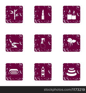 Clean day icons set. Grunge set of 9 clean day vector icons for web isolated on white background. Clean day icons set, grunge style