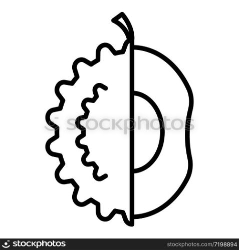 Clean durian icon. Outline clean durian vector icon for web design isolated on white background. Clean durian icon, outline style