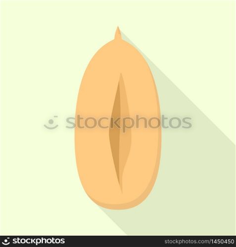 Clean peanut icon. Flat illustration of clean peanut vector icon for web design. Clean peanut icon, flat style