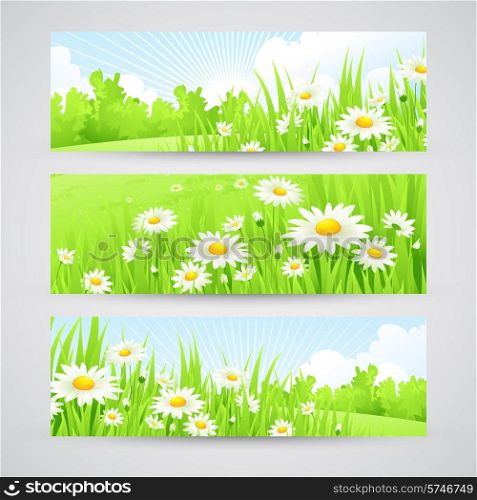Clean spring amazing scenery. Vector illustration EPS 10