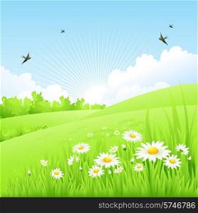 Clean spring amazing scenery. Vector illustration EPS 10