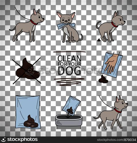 Clean up after your dog information vector illustration isolated on transparent background. Clean up after your dog information