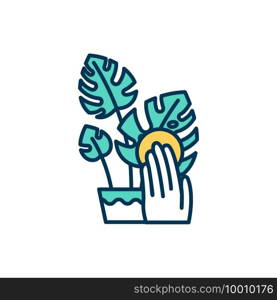 Cleaning indoor plant leaves RGB color icon. Leaf washing and spraying. Removing dust and dirt. Houseplants care and treatment. Plant health. Diseases prevention. Isolated vector illustration. Cleaning indoor plant leaves RGB color icon