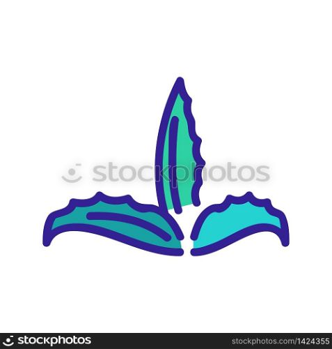 cleansing aloe vera icon vector. cleansing aloe vera sign. color symbol illustration. cleansing aloe vera icon vector outline illustration