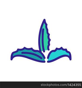 cleansing aloe vera icon vector. cleansing aloe vera sign. color symbol illustration. cleansing aloe vera icon vector outline illustration