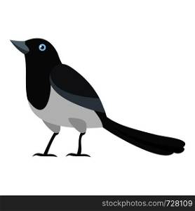 Clever magpie icon. Flat illustration of clever magpie vector icon for web. Clever magpie icon, flat style
