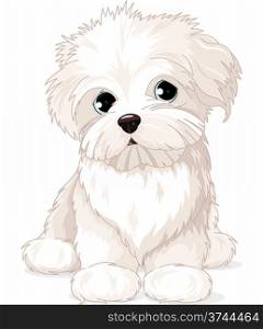 Clipart Maltese Puppy Dog