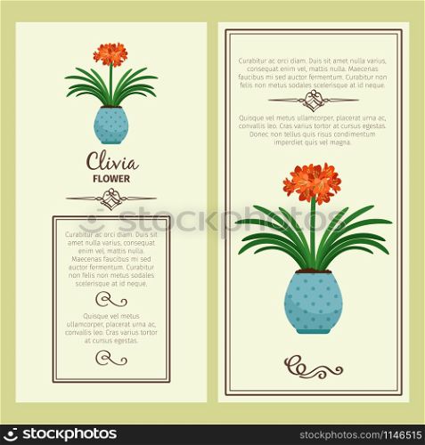 Clivia flower in pot vector advertising banners for shop design. Clivia flower in pot banners