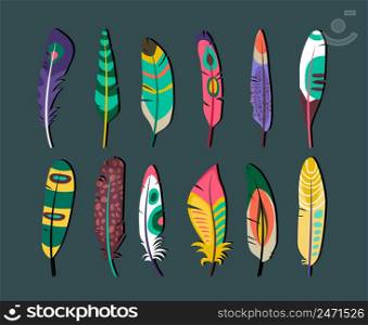 Close up Attractive Colored Feathers Icon Set Designs on Gray Background.