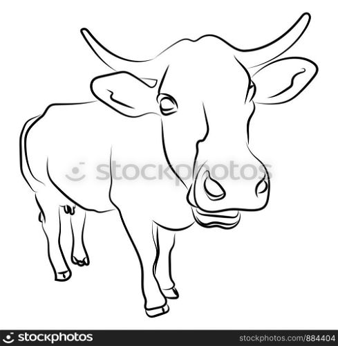 Close up cow sketch, illustration, vector on white background.