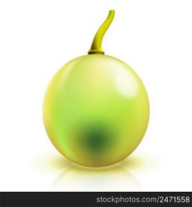 Close up grape isolated on white. Vector illustration. EPS10 opacity