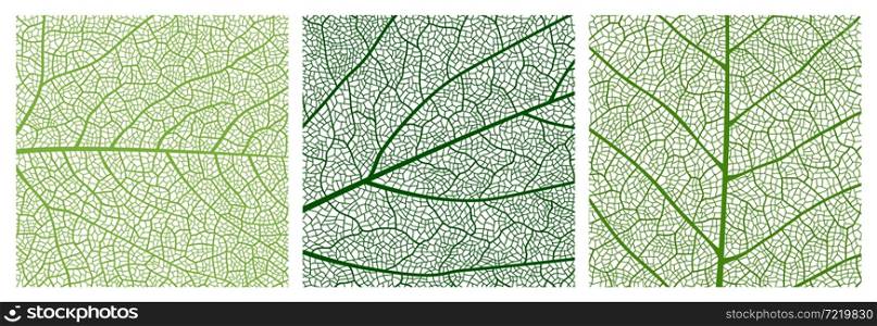 Close up green leaf texture pattern, leaf pattern background with veins and cells. Vector venation structure of tree plant foliage, abstract mosaic backdrop of birch or maple leaf surface. Close up green leaf texture pattern background