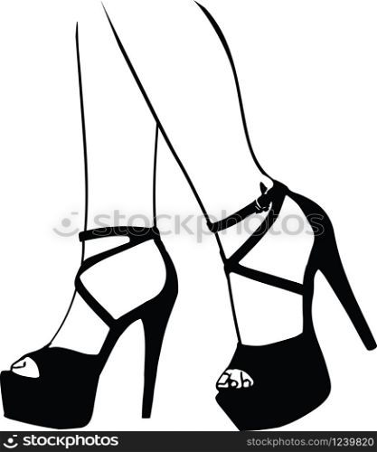 close-up of woman legs Illustration of women&rsquo;s shoes. Vector Illustration