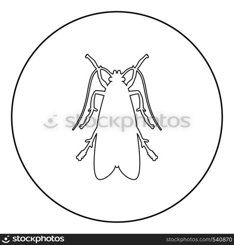 Clothes moth Clothing moth Fly insect pest icon in circle round outline black color vector illustration flat style simple image