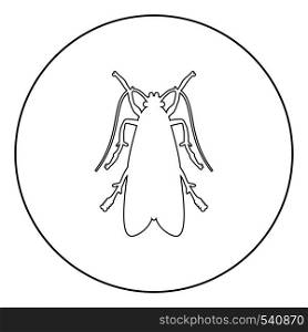 Clothes moth Clothing moth Fly insect pest icon in circle round outline black color vector illustration flat style simple image