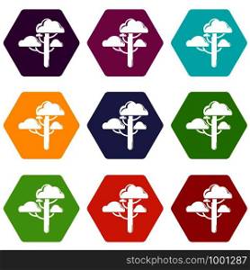 Cloud tree icons 9 set coloful isolated on white for web. Cloud tree icons set 9 vector