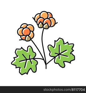 cloudberry berry color icon vector. cloudberry berry sign. isolated symbol illustration. cloudberry berry color icon vector illustration