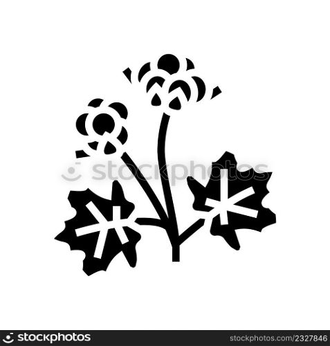 cloudberry berry glyph icon vector. cloudberry berry sign. isolated contour symbol black illustration. cloudberry berry glyph icon vector illustration