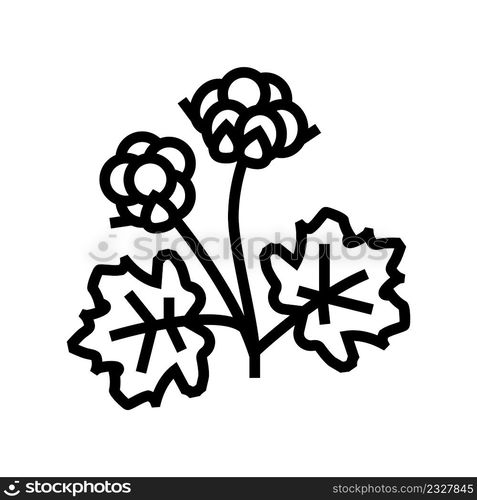 cloudberry berry line icon vector. cloudberry berry sign. isolated contour symbol black illustration. cloudberry berry line icon vector illustration