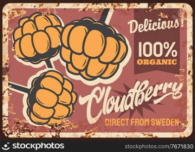 Cloudberry rusty metal plate, vector vintage rust tin sign with ripe garden or wild berries. Cloudberries garden or orchard fresh plants from sweden, farm production promo card for store, retro poster. Cloudberry rusty metal plate, vector vintage card