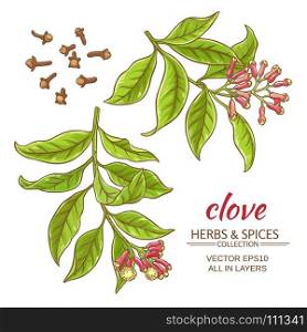 clove vector set. clove branches vector set on white background