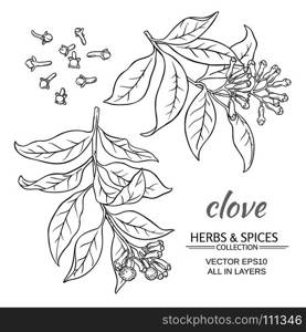 clove vector set. clove plant vector set on white background