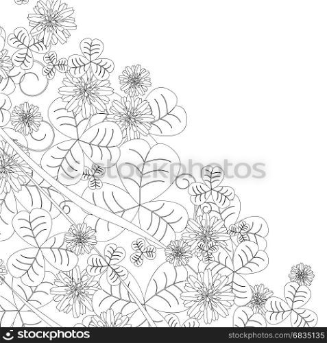 Clover leaves and flowers sketch on white background