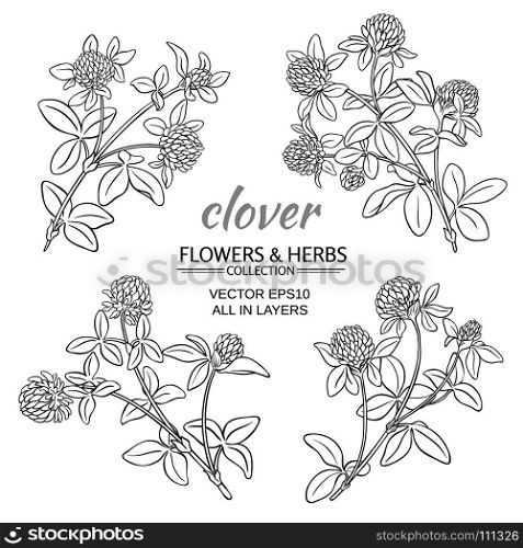 clover vector set. clover flowers vector set om white background