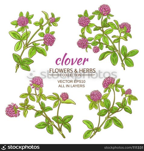 clover vector set. clover flowers vector set on white background
