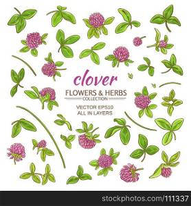 clover vector set. clover plant vector set on white background
