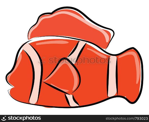 Clown fish, illustration, vector on white background.
