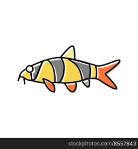 clown loaches color icon vector. clown loaches sign. isolated symbol illustration. clown loaches color icon vector illustration