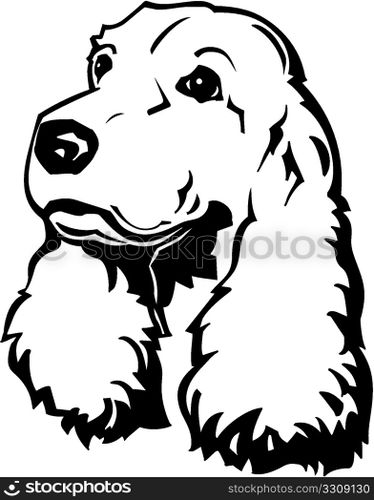 Cocker Spaniel