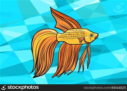 Cockerel aquarium fish. Pop art retro vector illustration. Cockerel aquarium fish