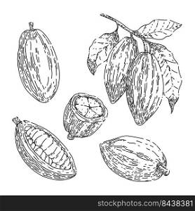 cocoa chocolate set hand drawn vector. cacao bean, plant tree, organic fruit cocoa chocolate sketch. isolated black illustration. cocoa chocolate set sketch hand drawn vector